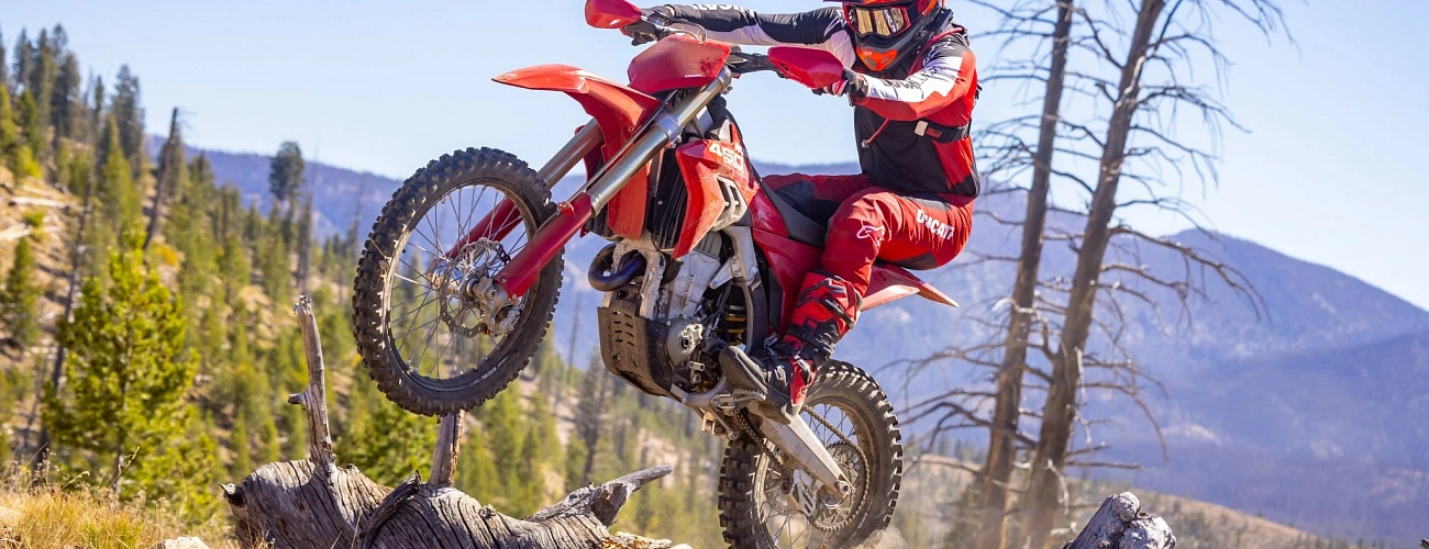 Desmo450 EDX