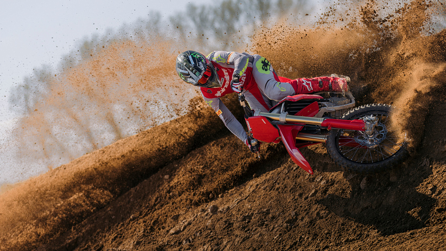 Desmo450 MX
