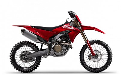 Desmo450 MX